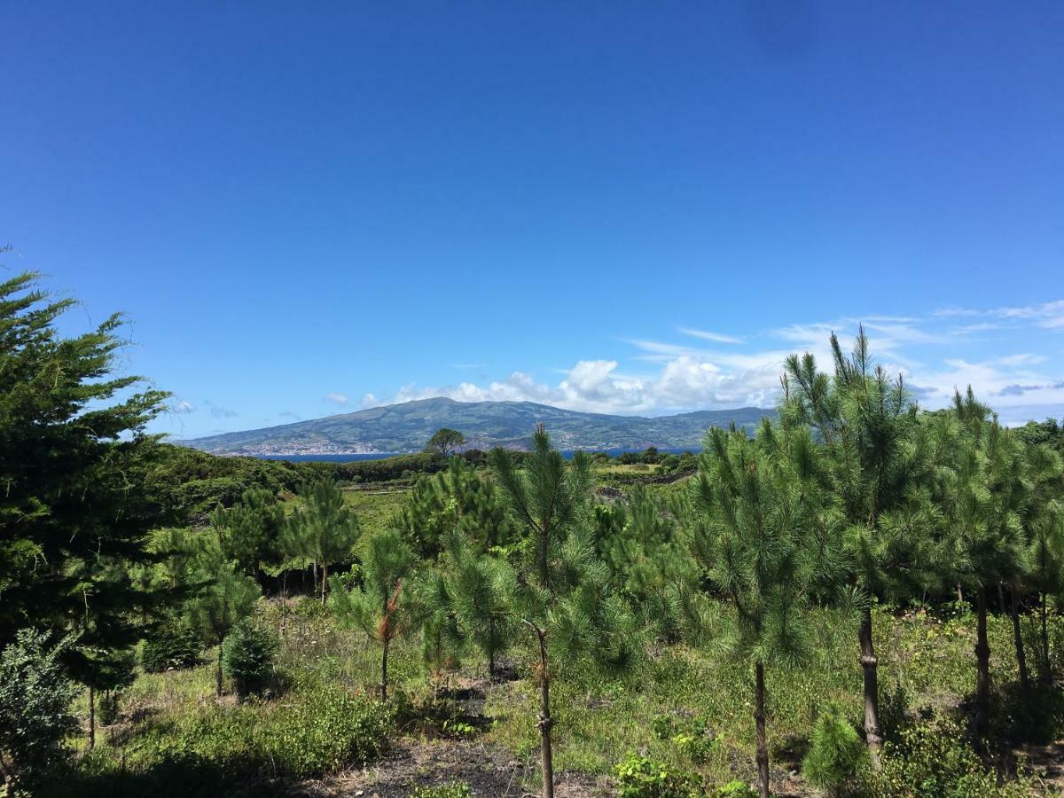 Home Pico - Casa Dos Cedros Criacao Velha Екстер'єр фото