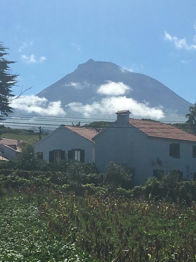 Home Pico - Casa Dos Cedros Criacao Velha Екстер'єр фото